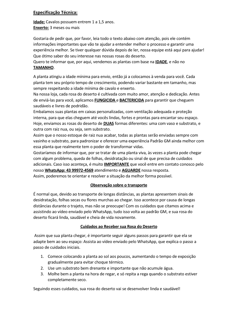 Rosa do Deserto - CEU ESTRELADO VARIEGATA - Gm Rosa Do Deserto