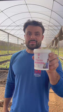 Fertilizante Mineral Misto - GM Flores NPK+8 - 3KG